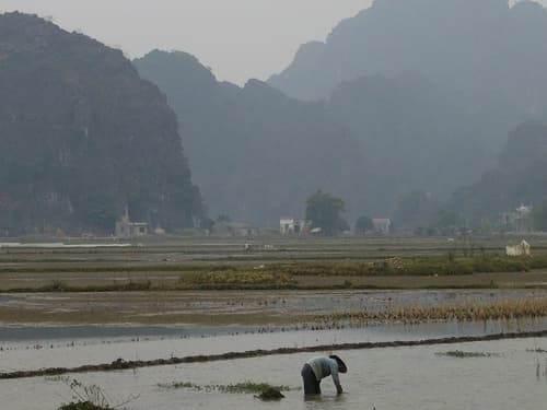 Tam Cốc - Bích Động