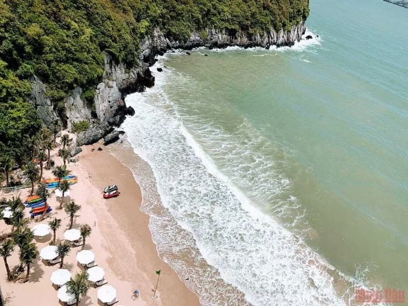 Vịnh Lan Hạ tại Cát Bà